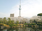 隅田公園